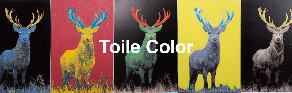 2015-12-28 Toile-Color