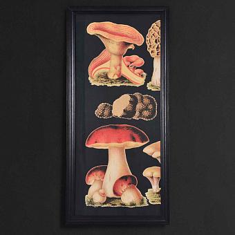 Картина-принт Mushrooms Left дуб Black Oak
