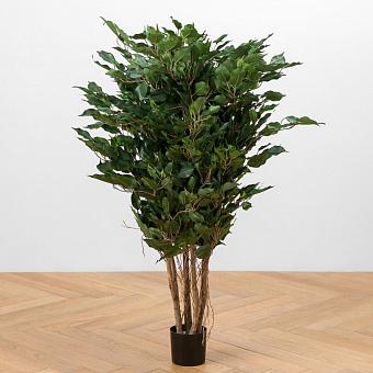 Искусственное растение Undersized Multi Barreled Ficus Benjamina 100 cm