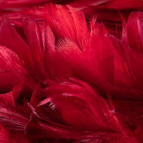 перья Red Feathers