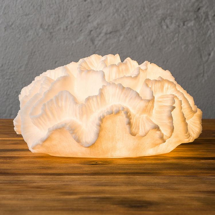 Coral Agaricial Lamp