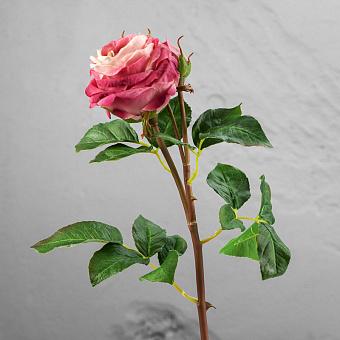 Искусственный цветок David Austin Rose Branch Powder Pink 50 cm