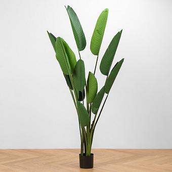 Искусственное растение Style Strelitzia 180 cm