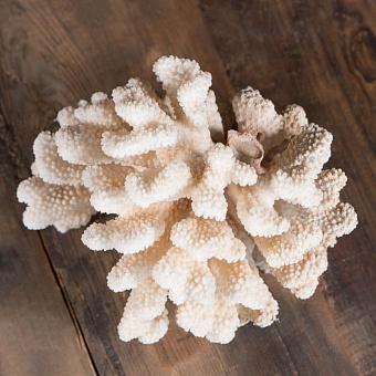 Винтажный коралл Vintage Coral 3