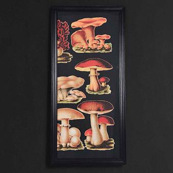 Картина-принт Mushrooms Right дуб Black Oak