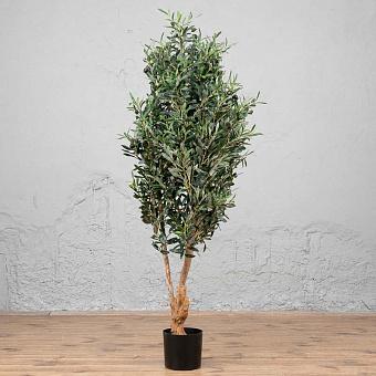 Искусственное дерево Twist Olive With Fruits 150 cm
