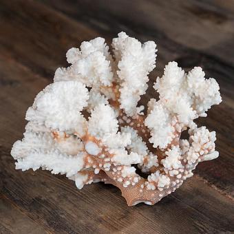 Винтажный коралл Vintage Coral 4