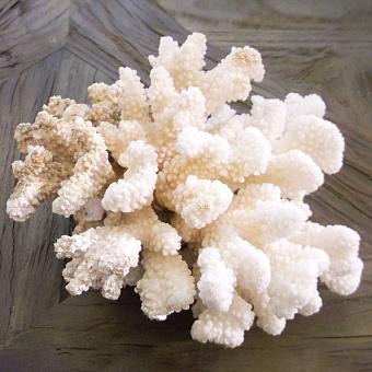 Винтажный коралл Vintage Coral 10