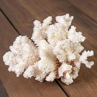 Винтажный коралл Vintage Coral 9