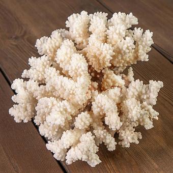 Винтажный коралл Vintage Coral 6