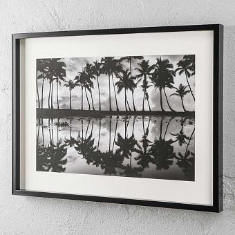 Фото-принт Palm Reflection, Black Box Frame