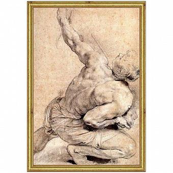 Картина-принт Rubens Study Of Back, Gold Frame