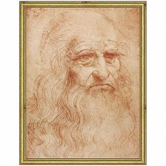 Картина-принт Da Vinci Drawing, Gold Frame