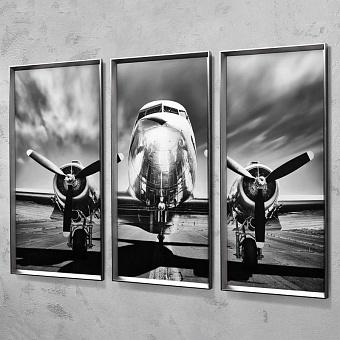 Модульный фото-принт Set Of 3 Plane, Pewter Frame