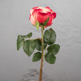 Искусственный цветок Gemma Rose Pale Peach With Crimson 56 cm