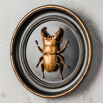 Настенное украшение Beetle In Frame Black And Gold