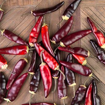Искусственное растение Chili Pepper Assorti Burgundy Red Small